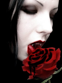 Other Wallpapers 0932